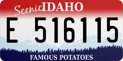 ID license plate E516115