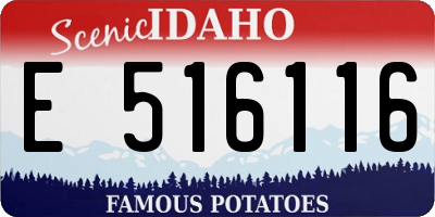 ID license plate E516116