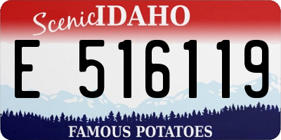 ID license plate E516119