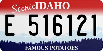 ID license plate E516121