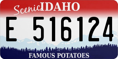 ID license plate E516124