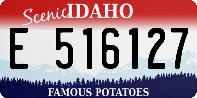 ID license plate E516127