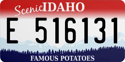 ID license plate E516131