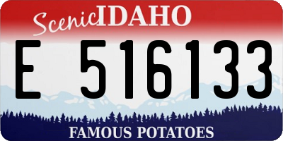 ID license plate E516133
