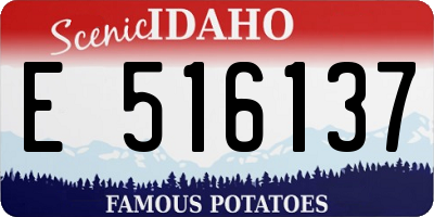 ID license plate E516137