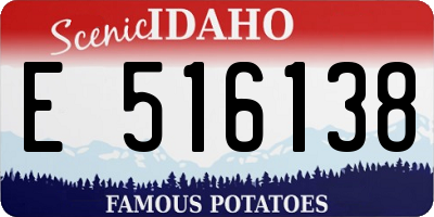 ID license plate E516138