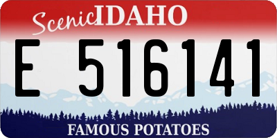 ID license plate E516141
