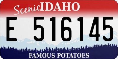 ID license plate E516145