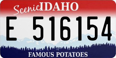 ID license plate E516154