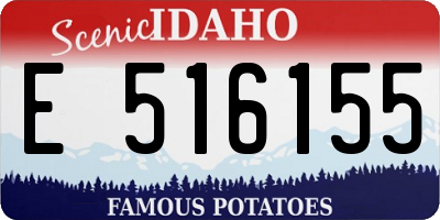 ID license plate E516155