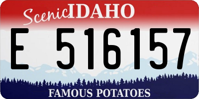 ID license plate E516157