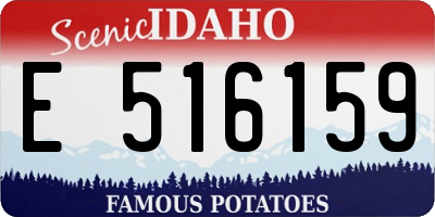 ID license plate E516159