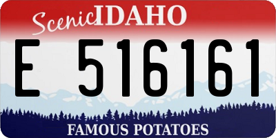 ID license plate E516161