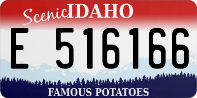 ID license plate E516166