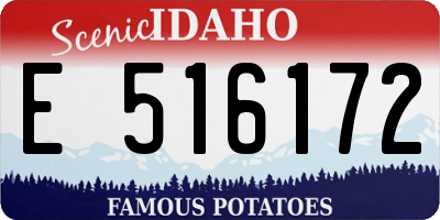 ID license plate E516172