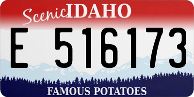 ID license plate E516173