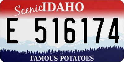 ID license plate E516174