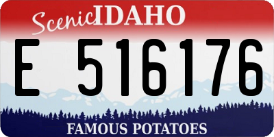 ID license plate E516176