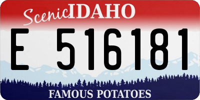 ID license plate E516181