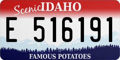ID license plate E516191