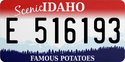 ID license plate E516193