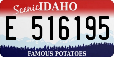 ID license plate E516195