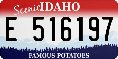ID license plate E516197