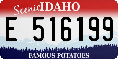ID license plate E516199