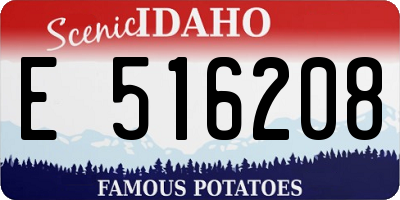 ID license plate E516208