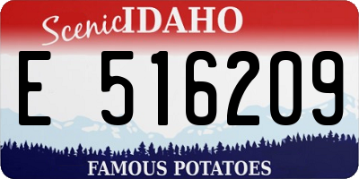 ID license plate E516209