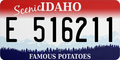 ID license plate E516211