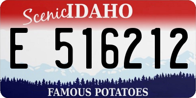 ID license plate E516212