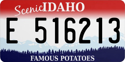 ID license plate E516213
