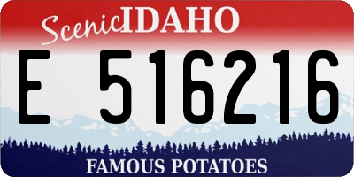 ID license plate E516216