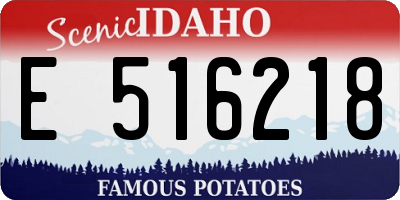 ID license plate E516218