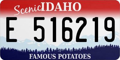 ID license plate E516219