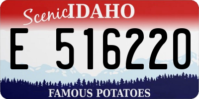 ID license plate E516220