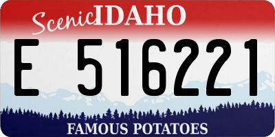 ID license plate E516221
