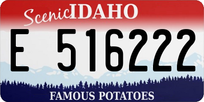 ID license plate E516222