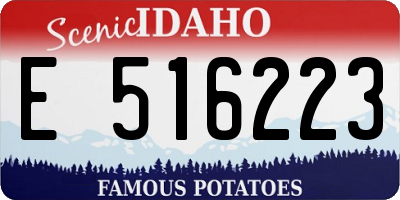 ID license plate E516223