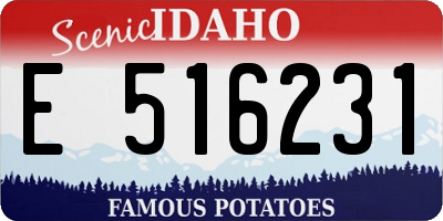 ID license plate E516231