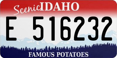 ID license plate E516232