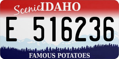 ID license plate E516236