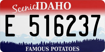 ID license plate E516237