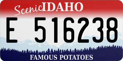 ID license plate E516238