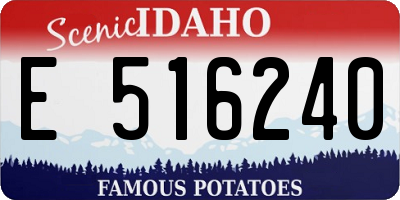 ID license plate E516240