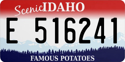 ID license plate E516241