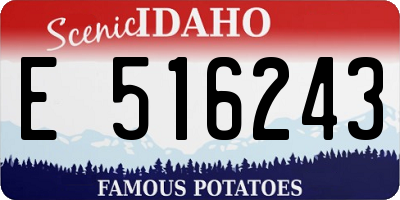 ID license plate E516243