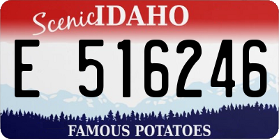 ID license plate E516246