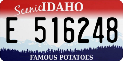 ID license plate E516248